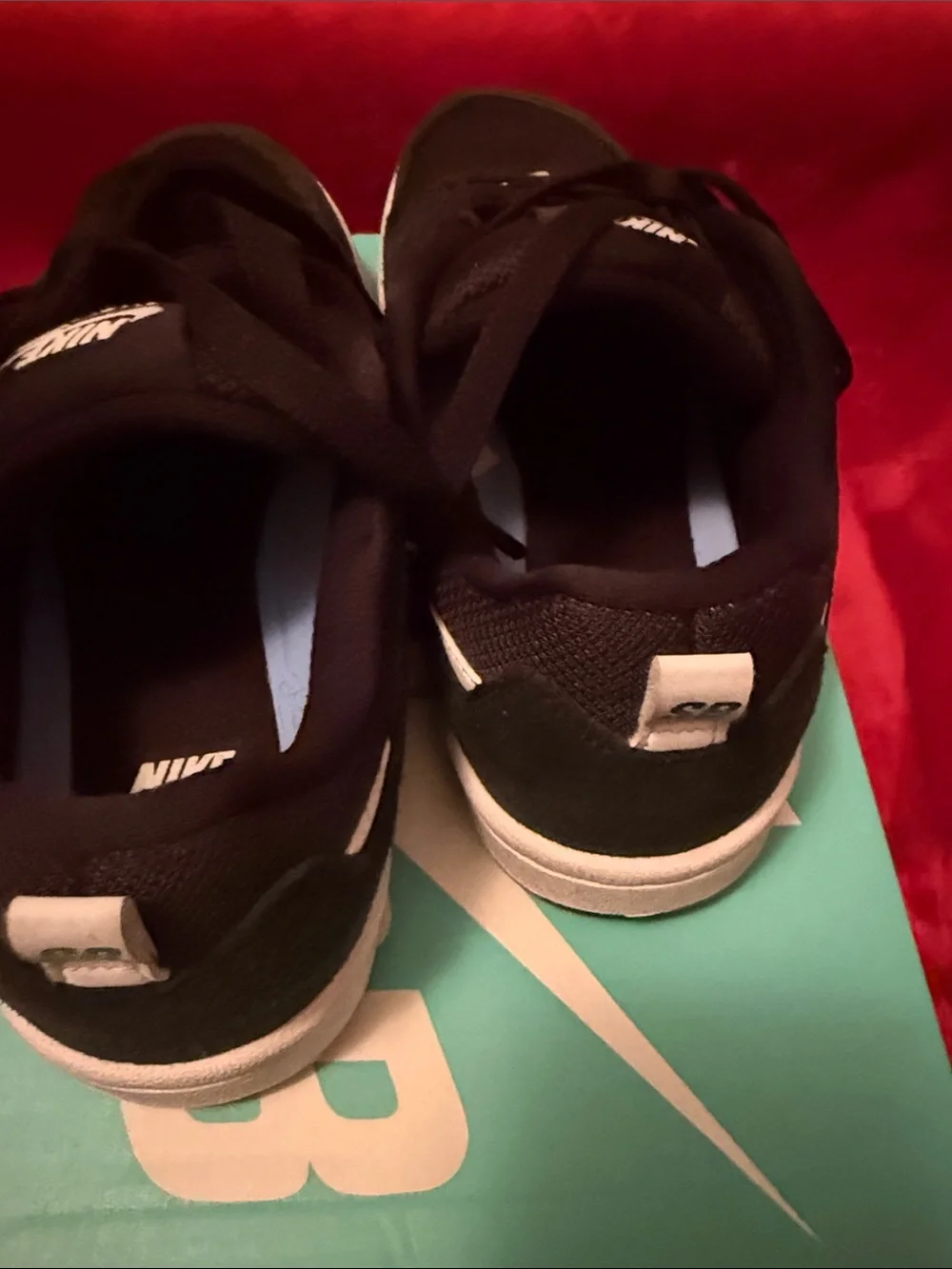 Nike SB Alleyoop (GS) Black & White Youth Box Label